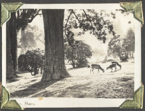 Guerra de Corea – 1953 